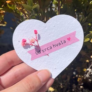 Srce Flower A01 Pink